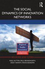 Social Dynamics of Innovation Networks