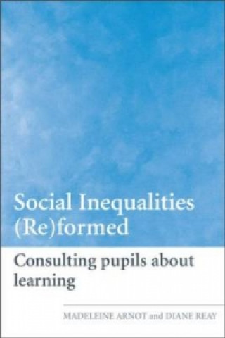 Social Inequalities (Re)formed