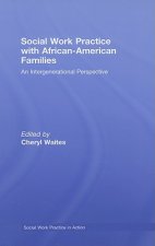 Social Work Practice with African American Families