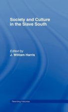 Society and Culture in the Slave South
