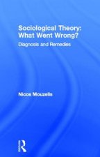 Sociological Theory: What went Wrong?