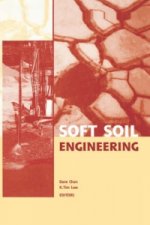 Soft Soil Engineering