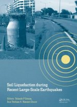 Soil Liquefaction during Recent Large-Scale Earthquakes
