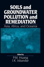 Soils and Groundwater Pollution and Remediation