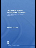 South African Intelligence Services