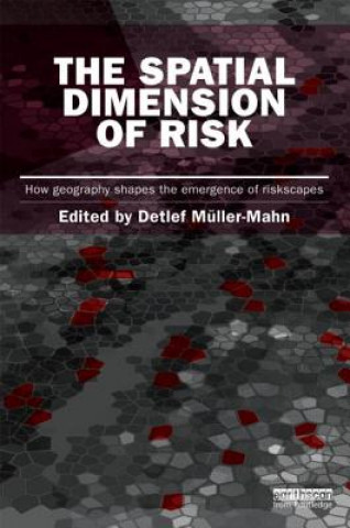 Spatial Dimension of Risk