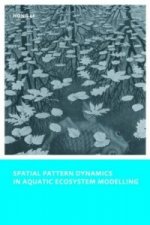 Spatial Pattern Dynamics in Aquatic Ecosystem Modelling