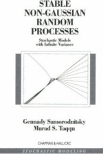 Stable Non-Gaussian Random Processes