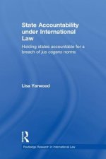 State Accountability under International Law