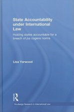 State Accountability under International Law