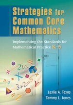 Strategies for Common Core Mathematics