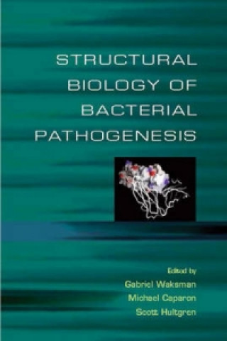 Structural Biology of Bacterial Pathogensis