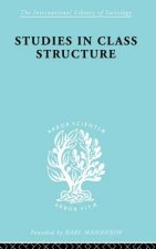 Studies in Class Structure