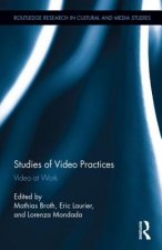 Studies of Video Practices