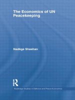 Economics of UN Peacekeeping