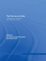 Firm as an Entity