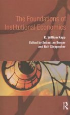 Foundations of Institutional Economics