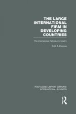 Large International Firm (RLE International Business)