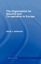 Organization for Security and Co-operation in Europe (OSCE)