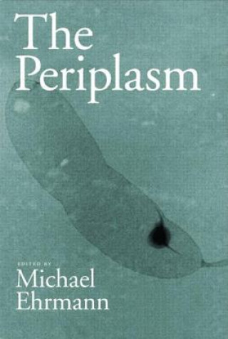 Periplasm