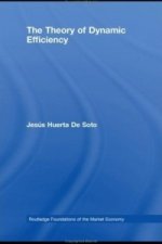 Theory of Dynamic Efficiency