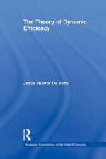 Theory of Dynamic Efficiency