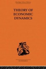 Theory of Economic Dynamics