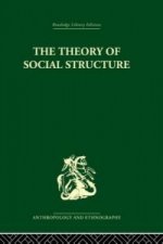 Theory of Social Structure