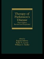 Therapy of Parkinson's Disease