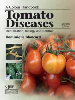 Tomato Diseases