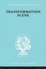 Transformation Scene