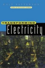 Transforming Electricity