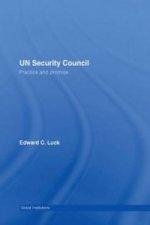 UN Security Council