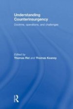 Understanding Counterinsurgency
