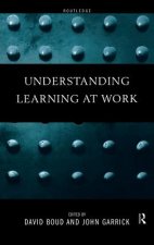 Understanding Learning at Work