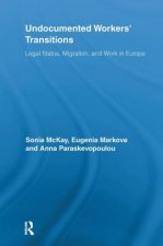Undocumented Workers' Transitions