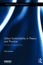 Urban Sustainability in Theory and Practice