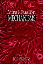 Viral Fusion Mechanisms