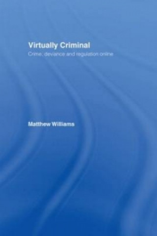 Virtually Criminal