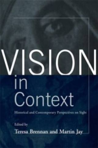 Vision in Context