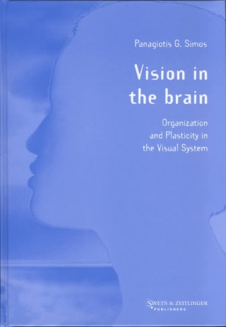 Vision in the Brain
