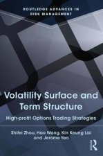 Volatility Surface and Term Structure