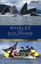 Whales and Dolphins