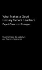 What Makes a Good Primary Teacher?