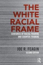 White Racial Frame