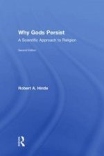 Why Gods Persist
