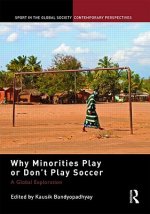 Why Minorities Play or Don't Play Soccer