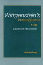 Wittgenstein's Investigations 1-133