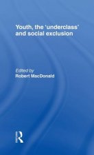 Youth, The 'Underclass' and Social Exclusion