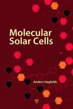 Molecular Solar Cells